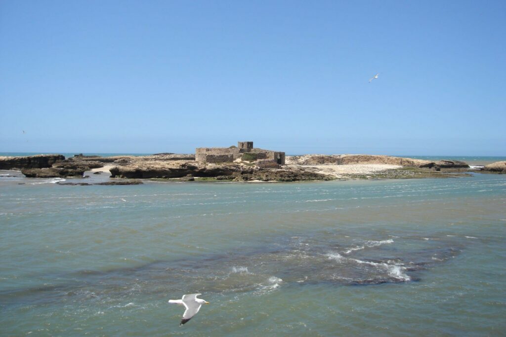 Met de camper naar Marokko - uitzicht op het Portugese fort, Essaouira