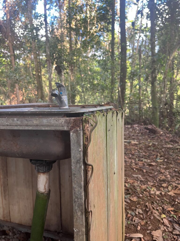 Kamperen in Costa Rica - Een slang op de kampeerplek bij La Ceiba Ecoadventures